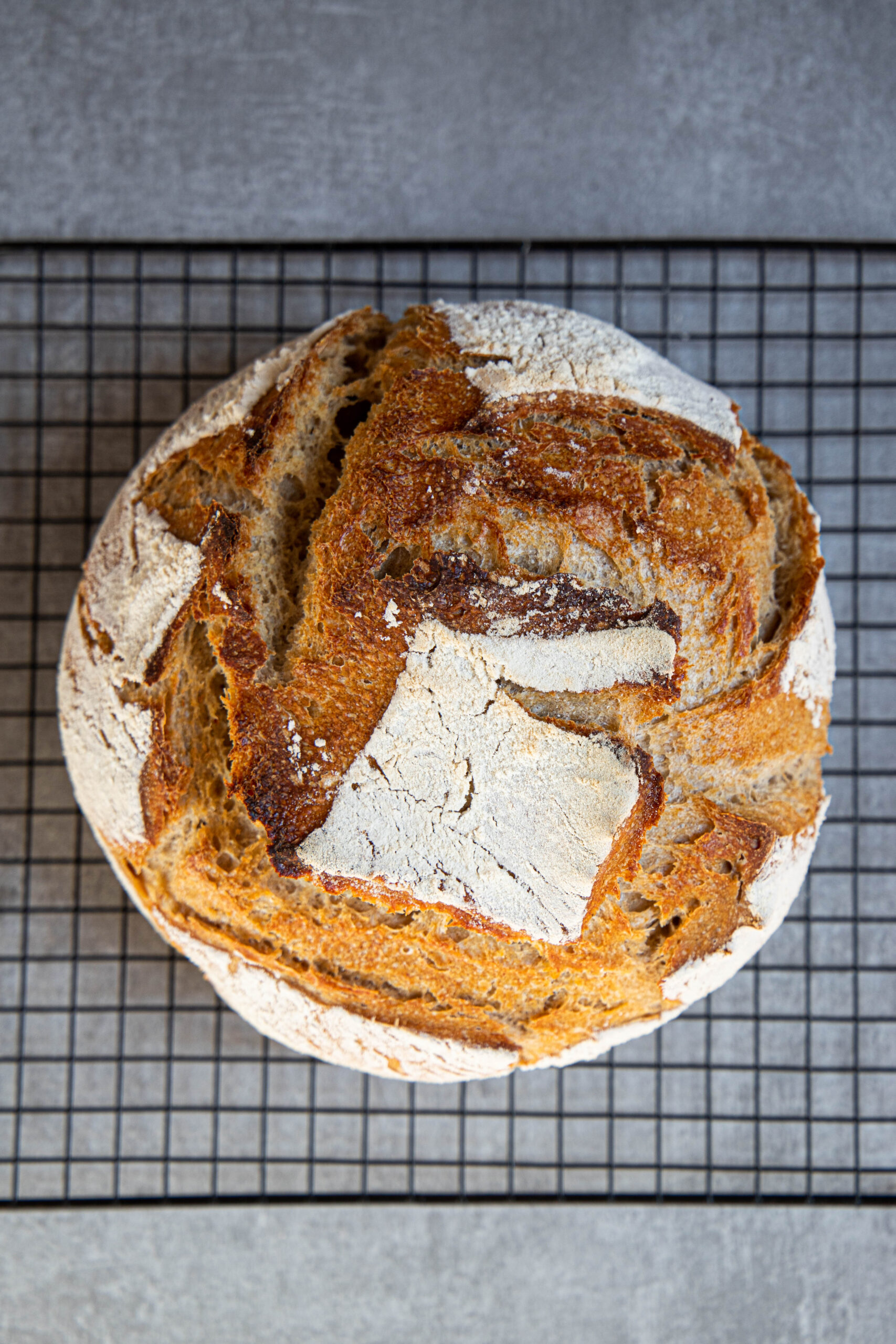 Réussir pains et pâtisseries au levain naturel: Recettes, conseils et tours  de main
