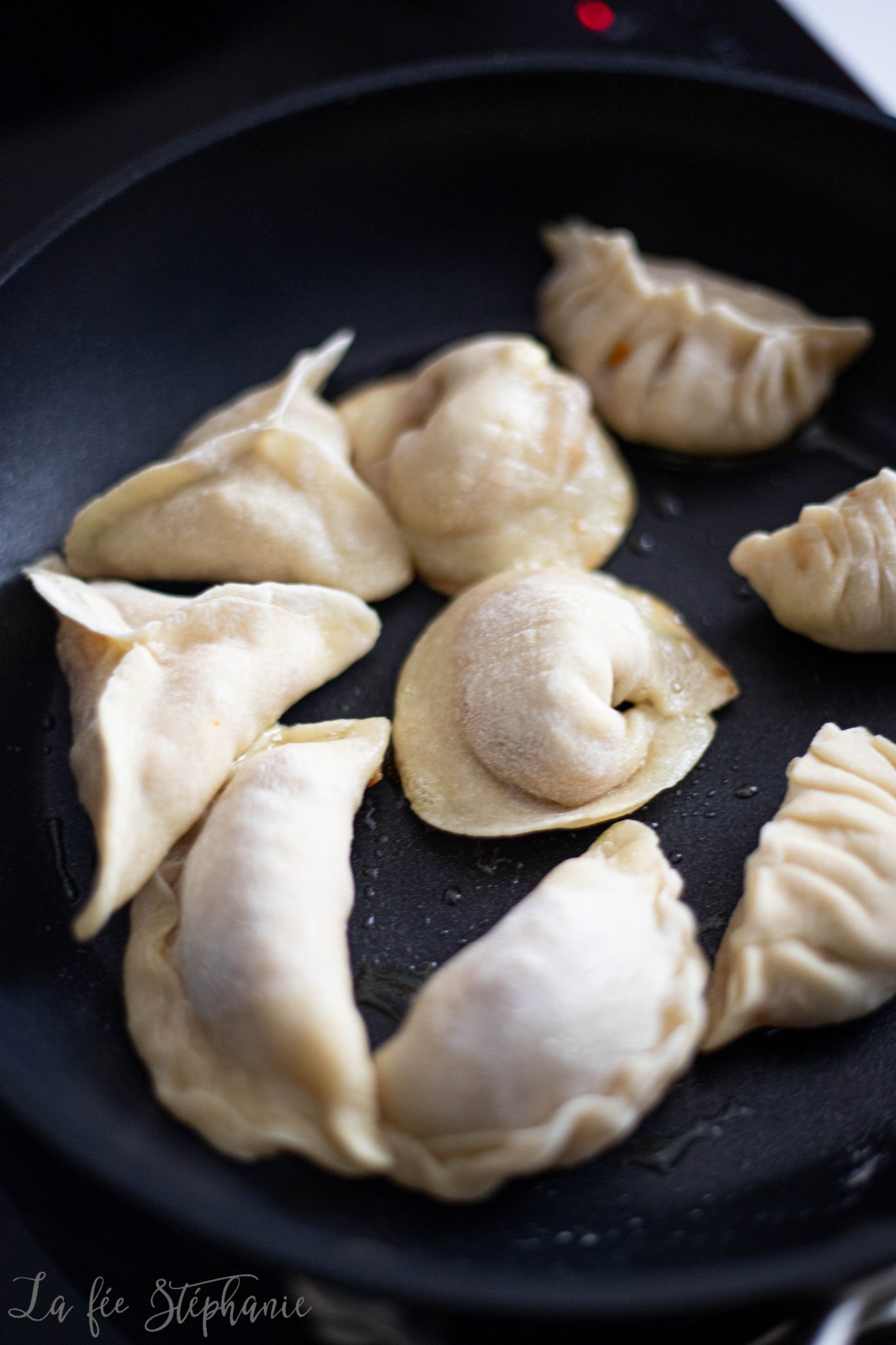 Raviolis Chinois Faits-maison - La Fée Stéphanie